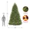 14ft. Unlit Dunhill® Hinged Fir Full Artificial Christmas Tree